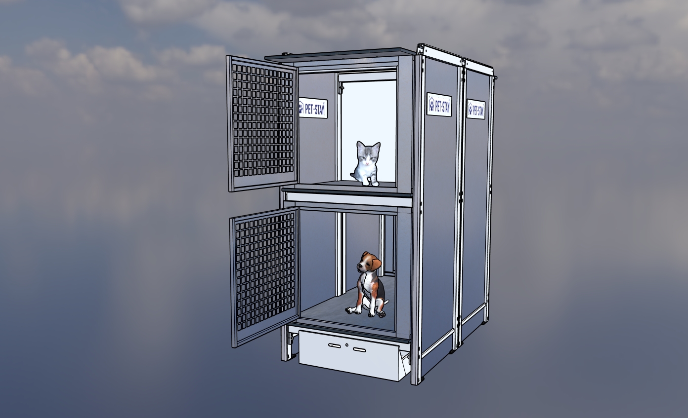 a dog in Pet-Stay