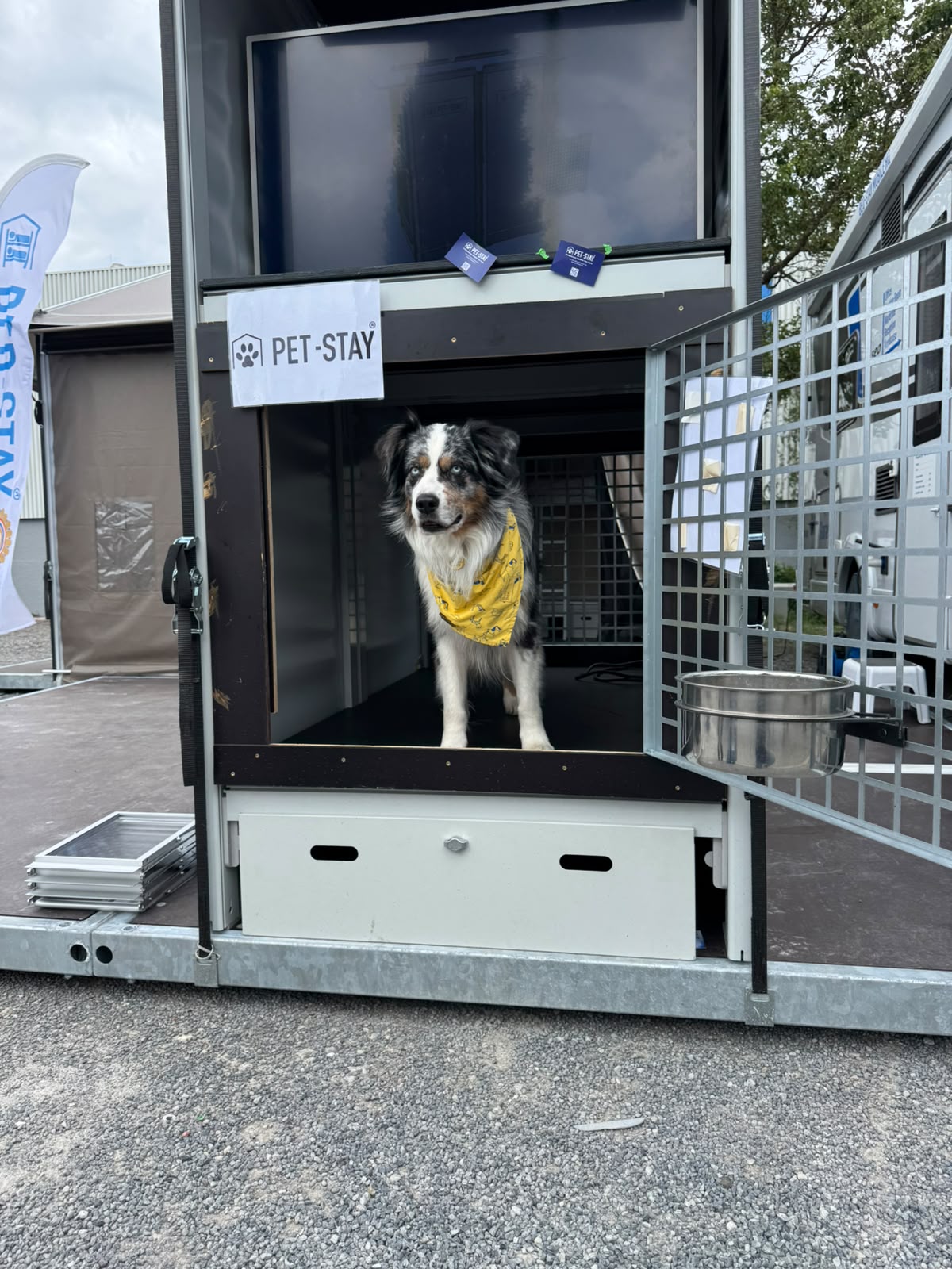 Dog resting safely in a Pet-Stay shelter unit